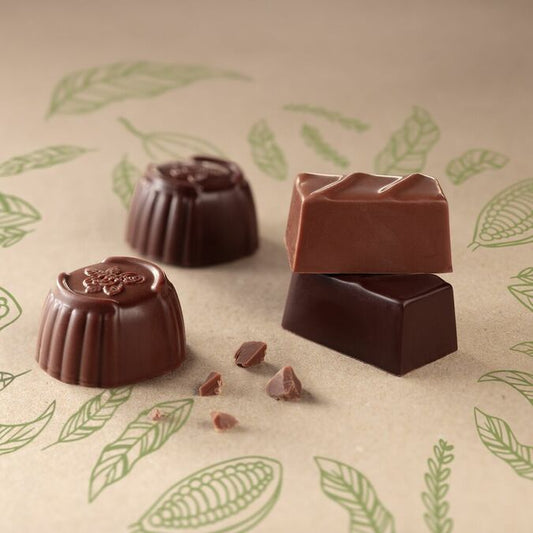 O que é chocolate Vegan e como é feito?