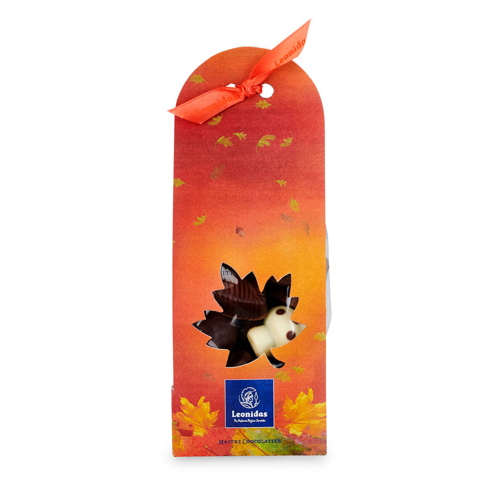 Sleeve de Outono com sortido de bombons de chocolate belga