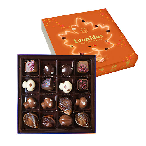 Zanzibar box with 16 autumn chocolates