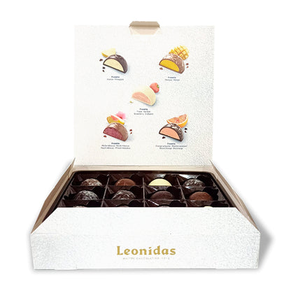 16 Frozettes - Bombons Gelados de Fruta e Chocolate