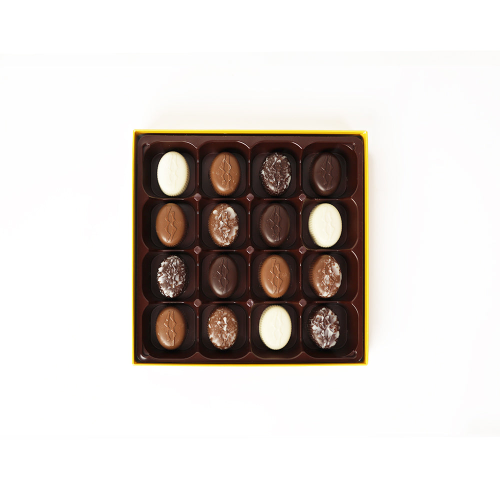 Zanzibar Primavera Leonidas – Caixa com 16 Irrésistibles de Chocolate Belga
